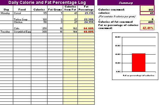 daily-workout-log-template