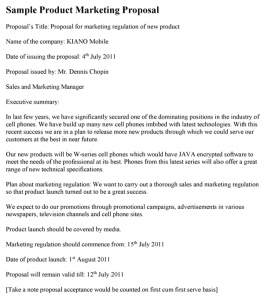 Product Launch Executive Summary Template