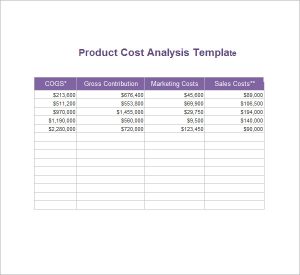 Cost Analysis Template