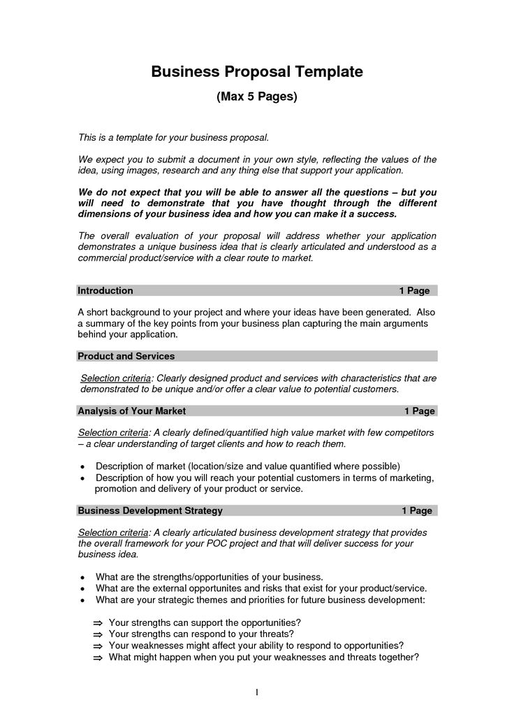 Professional Business Proposal template