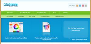 Color Palette of SEO Website Templates